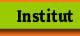 Institut